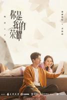 你是我的荣耀电视剧免费观看全集完整版